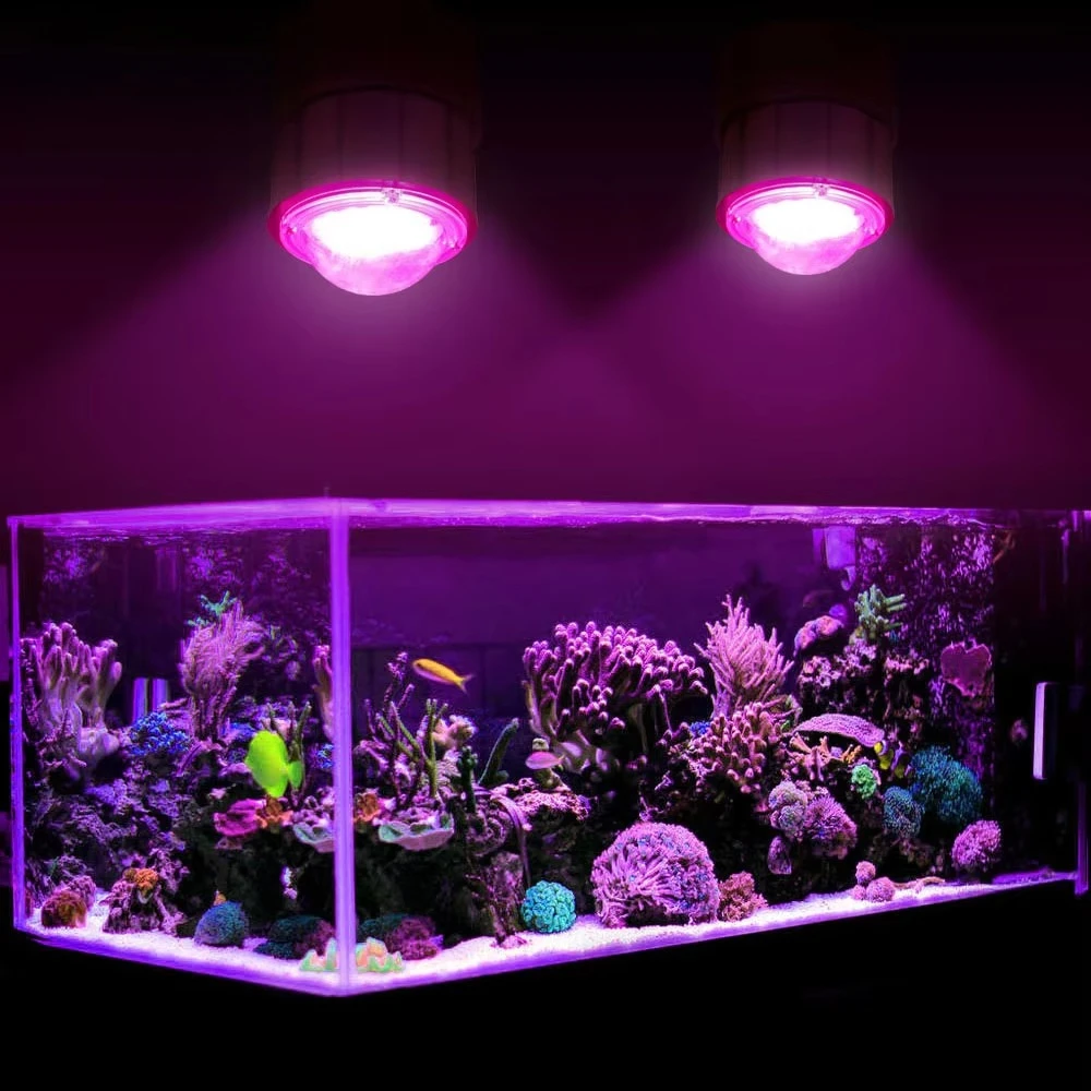 Aquarium Led Lighting White Blue Full Spectrum Aquarium Light Waterproof IP65 AC110v 220v 200W Aquarium Light With PC Cover