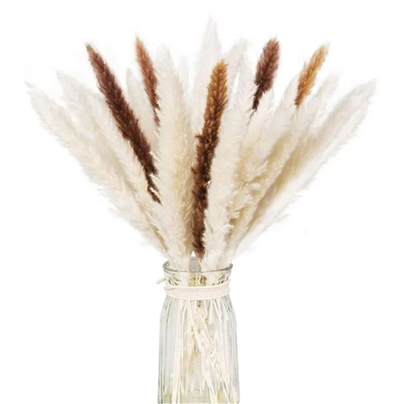 

Pink small Pampas dried flowers natural bouquet decoration vase window living room floor decoration immortal flower