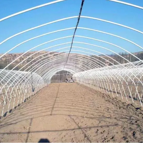 2025년형 단일 구조 채소 재배 온실, 개별 유닛용 두꺼운 용융 아연 도금 강관 사용