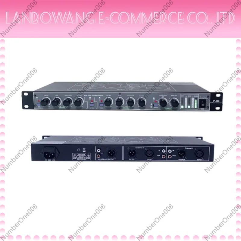 Multifunctional Ultra High and Ultra Low Bass Cannon Enhancer IP300, Audio Stimulator, Equalizer, Tone Adjustment Front
