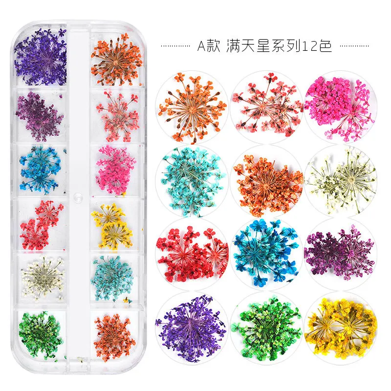 12 Kleur/Doos Nageldecoratie 3d Gedroogde Bloem Natuurlijke Bloemen Gemengde Droge Bloem Diy Sieraden Bedels Uv Gel Polish Nail Art Stickers