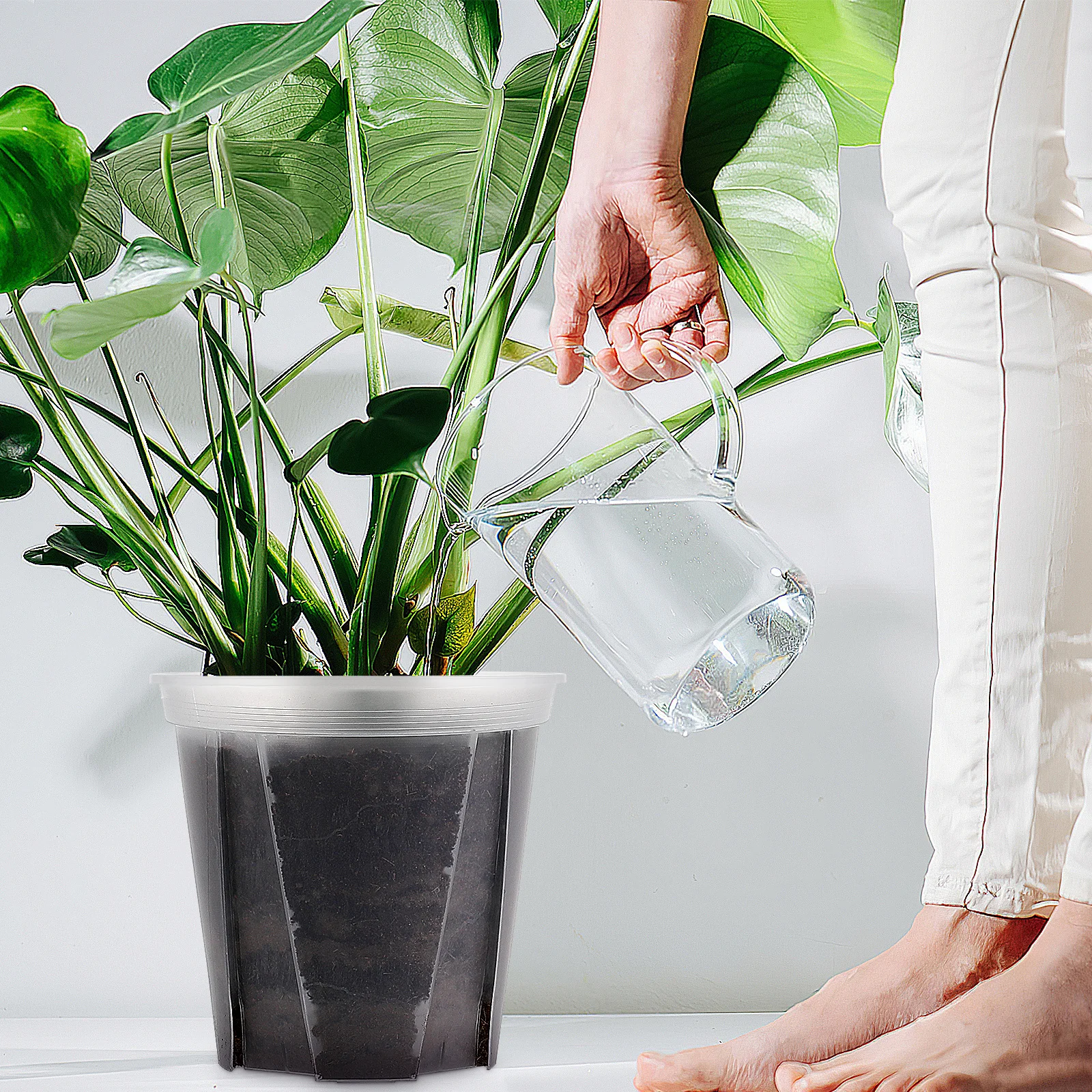 2 قطعة الأواني واضحة للنباتات ثقوب الصرف العصارة الصبار الحضانة البلاستيك الشفاف اناء للزهور ديكور غرفة مكتب المنزل