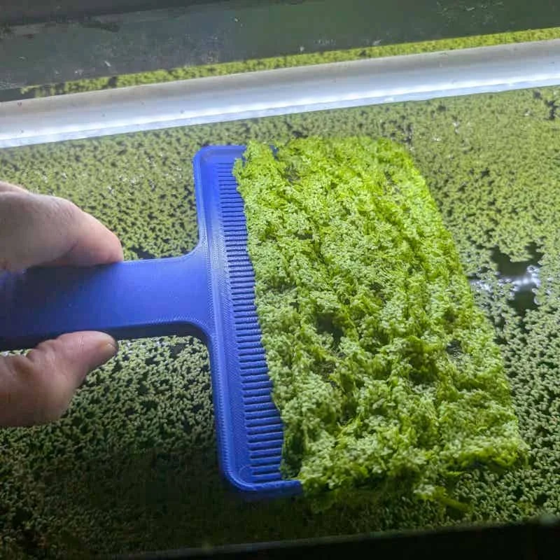 Aquarium-Wasserlinsen-Skimmer-Schaufel zur Reinigung und Entfernung von schwimmenden Pflanzen im Fischbecken – Detail 3