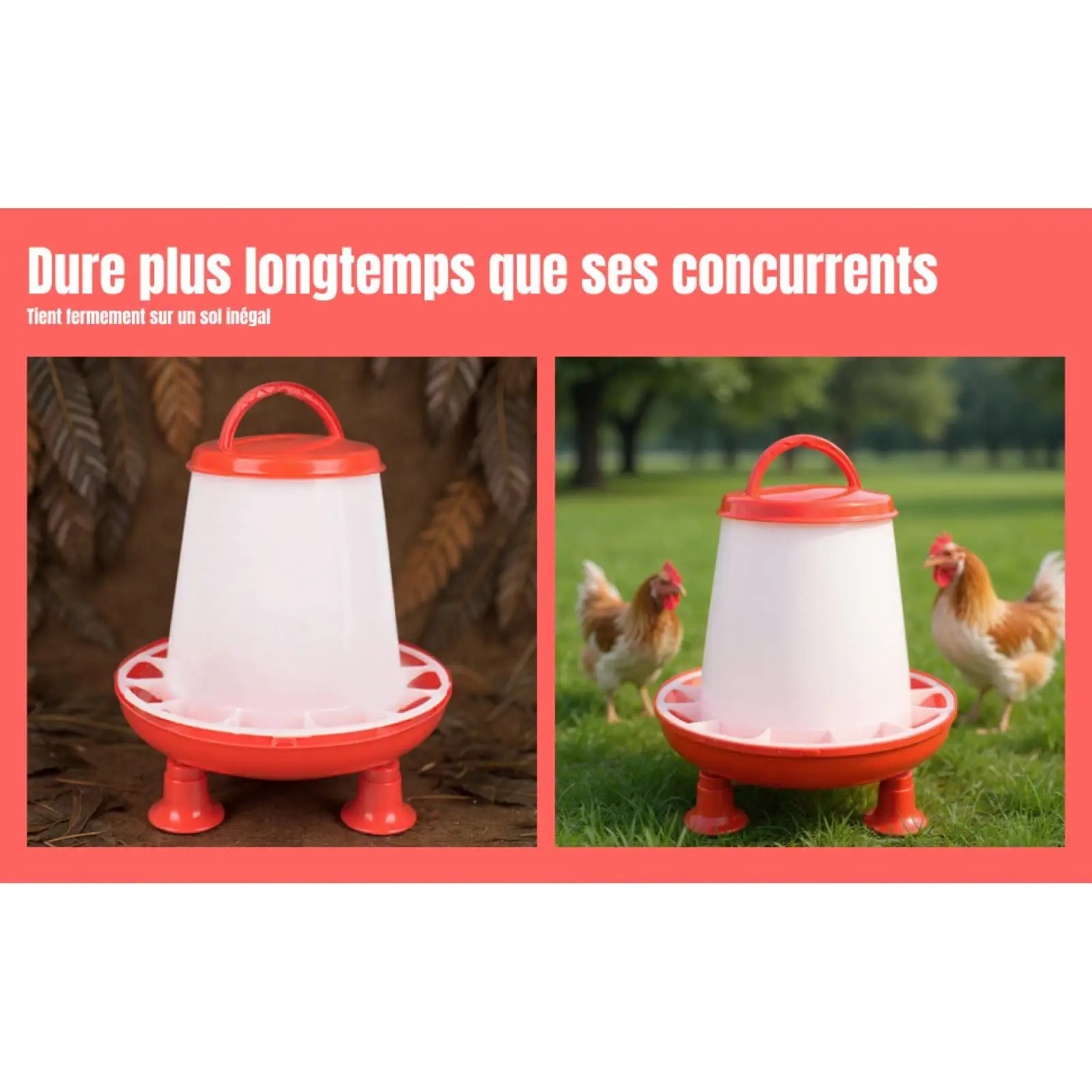 Comedero automático duradero para gallinas, pollos y palomas - imagen 5