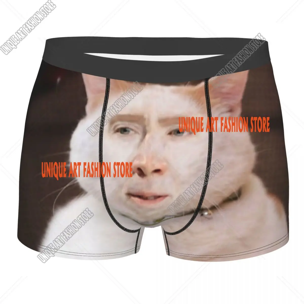 Funny Nicolas Cage Cat Meme Underwear Men Sexy Print Custom Boxer Shorts Panties Briefs Breathbale Underpants