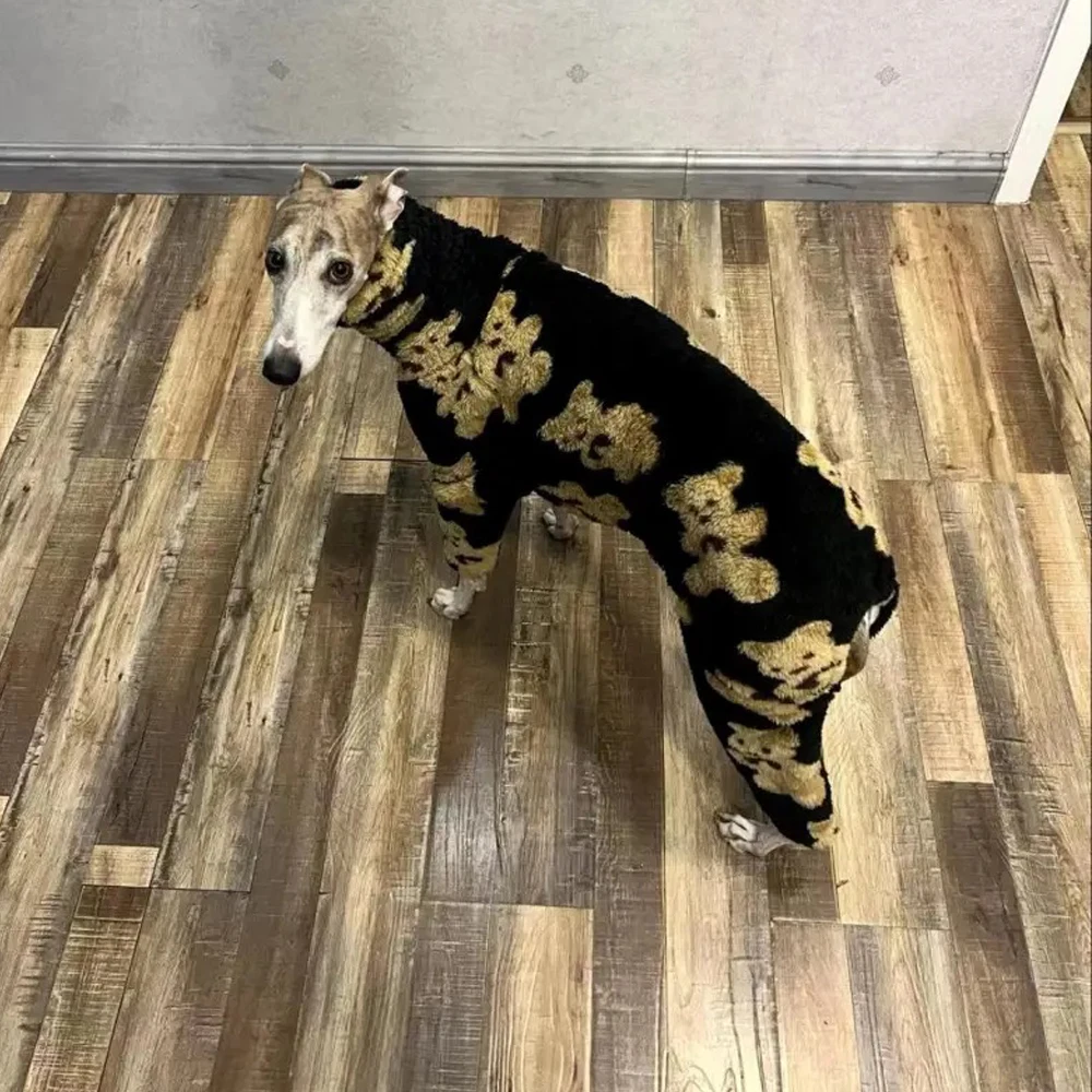 

Winter Whippet Dog Clothes Italian Greyhound Clothing Fleece Pajamas Jumpsuit in Bear Pattern for Warm Medium Dog Clothes