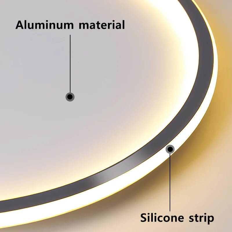 Moderne Led Plafondlamp Woonkamer Slaapkamer Balkon Gangpad Plafondlampen Ultra Dunne Ronde Vorm Dimbaar Met Afstandsbediening