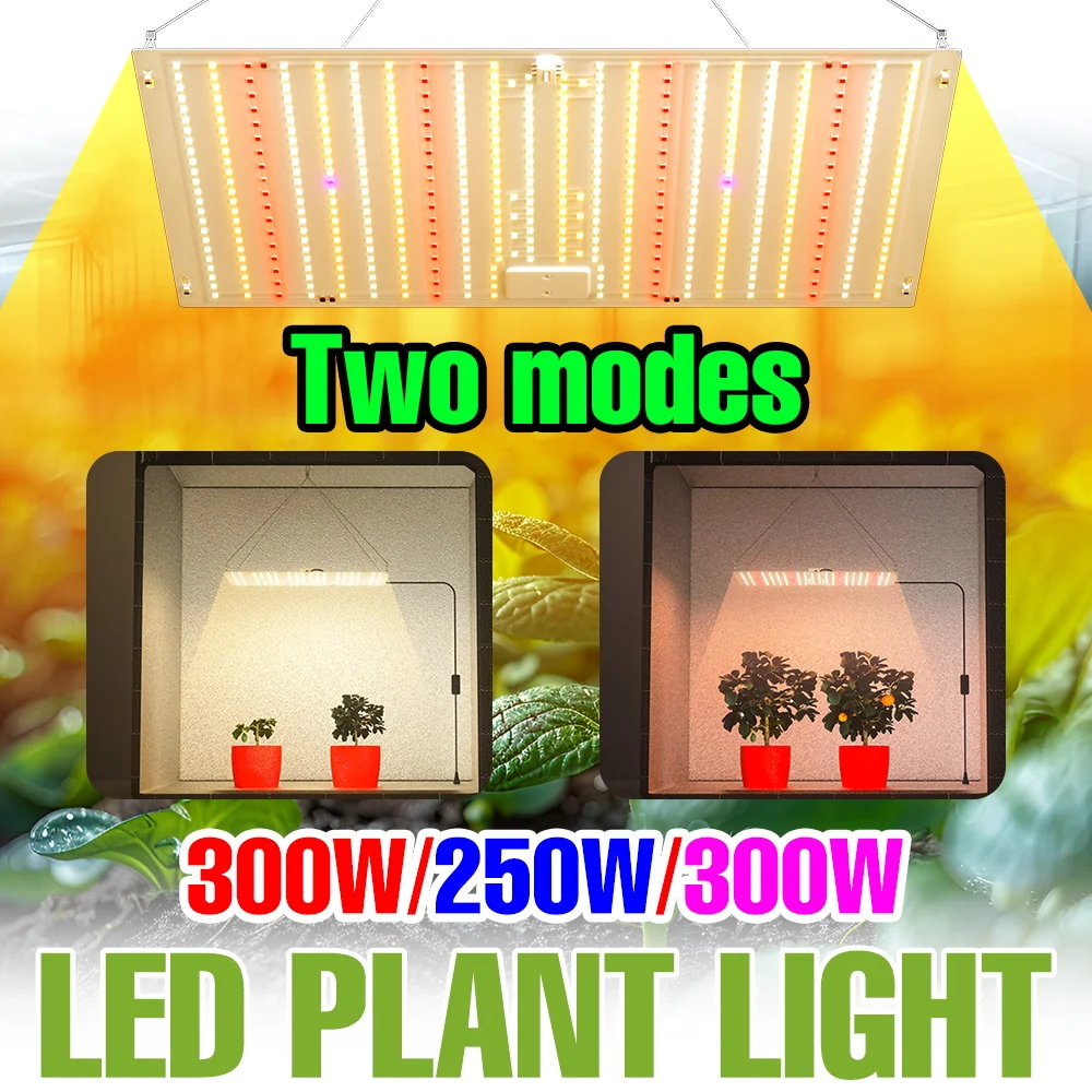 

Светодиодная лампа для растений 300 Вт, полный спектр, Quantum Board, для теплиц, гроубоксов, выращивания цветов и овощей в горшках