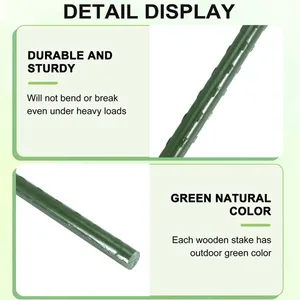 أفضل 10 مبيعات لتسلق الأشجار - رقم 8