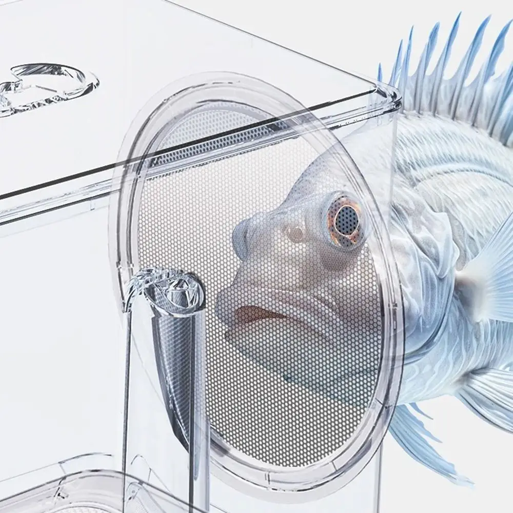 Transparent Fish Is… - image