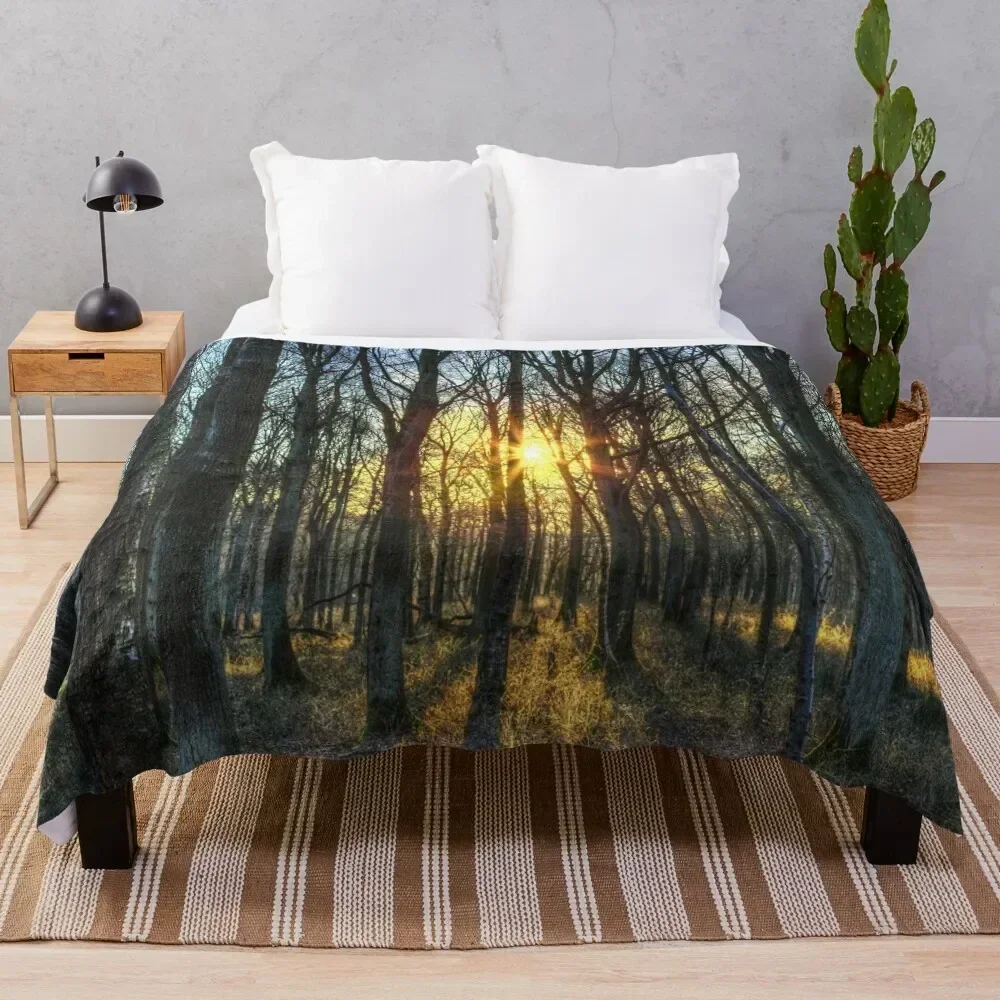 

Early Morning Forest Throw Blanket Cozy Microfiber Throw Blanket for Home Bedroom