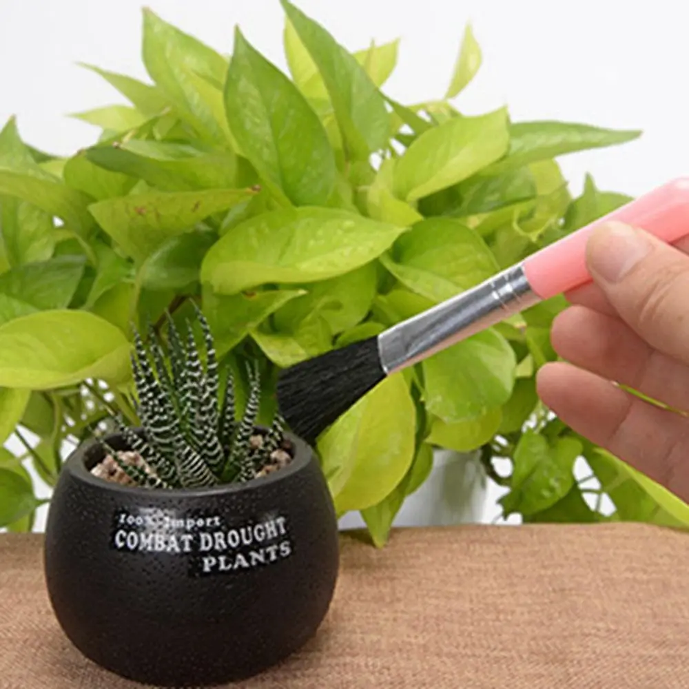 الأسمدة زرع صغير البذر N1N بونساي الشتلات أداة زراعة عصارية جهاز الحفر حديقة زارع عدة #5