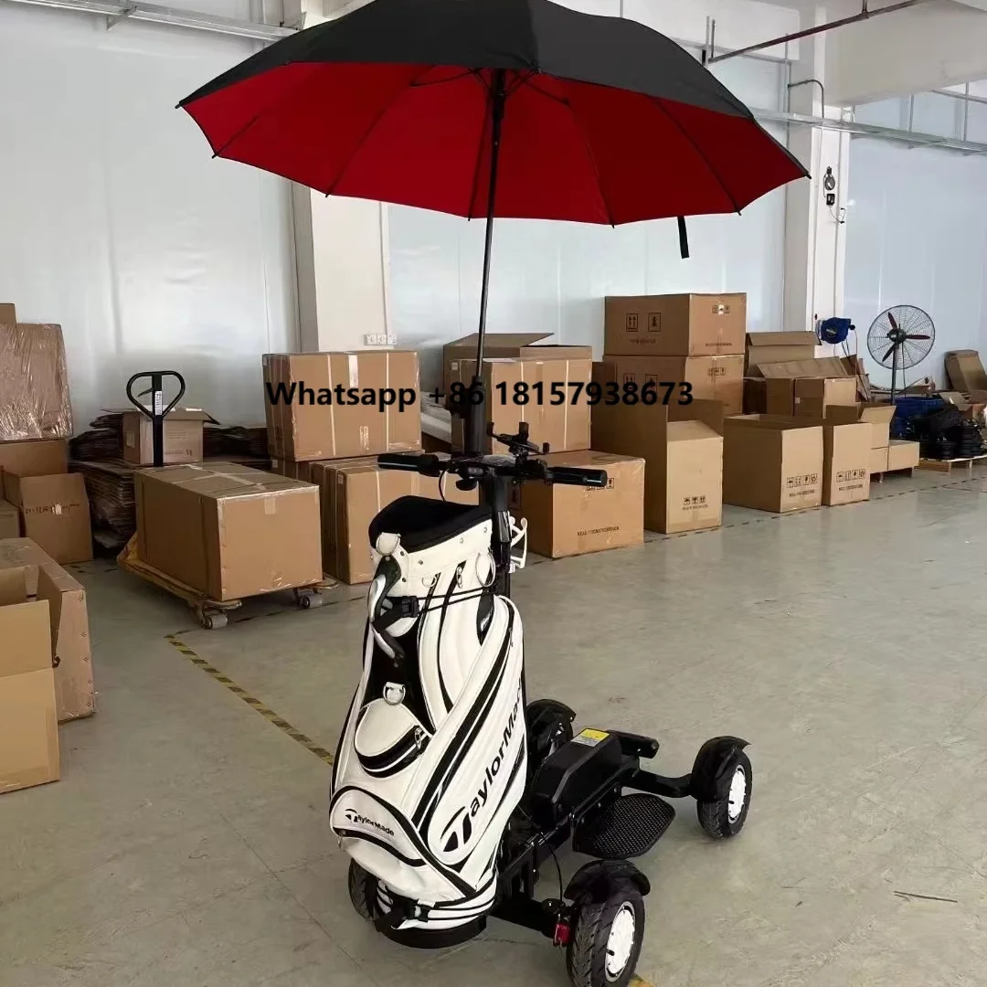

Unisex 2000W Strong Electric Patrol Car 4-Wheel Scooter Golf Cart Digital Smart Electronic Four-Wheelers 20km Lithium Alloy