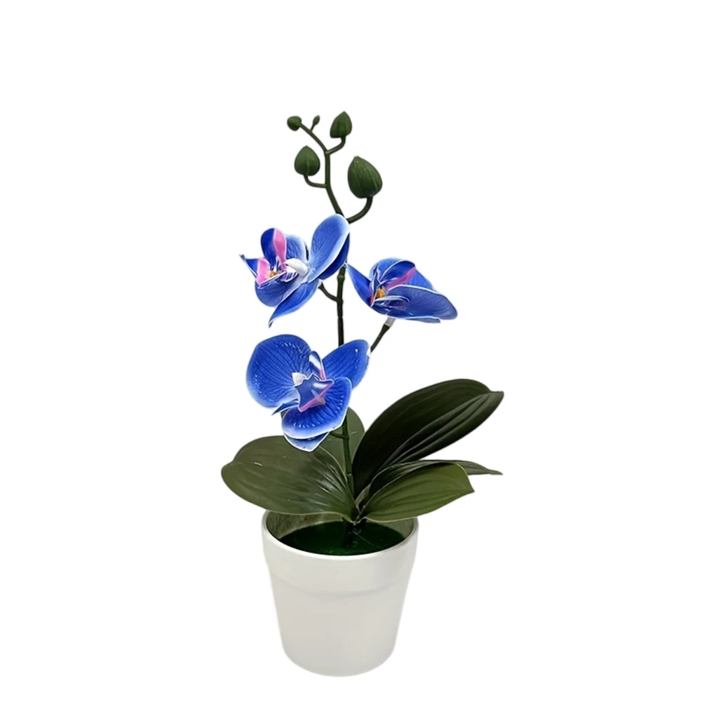 Artificial Orchid Bonsai Featuring Phalaenopsis Design for Indoor Spaces Including Living Room Office Bedroom and Hallway