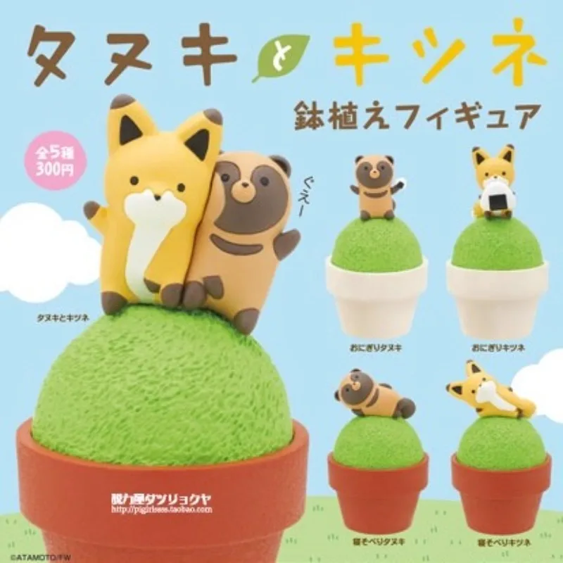 

Civet Cats and Foxes Potted Dolls Gashapon Miniature Ornaments Action Figure Toys for Boys Girls Kids Gift Collectible Model