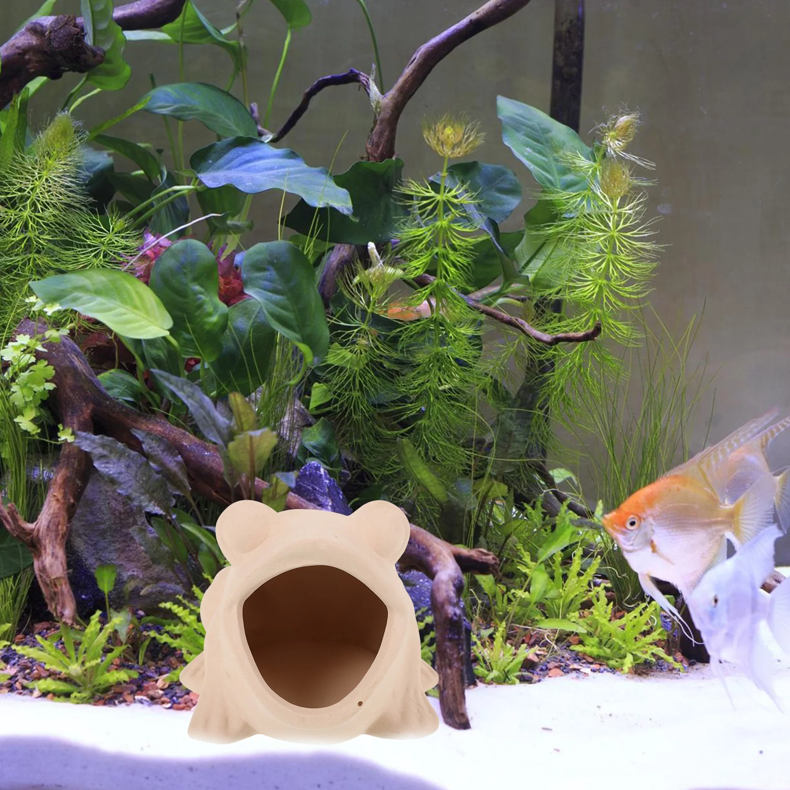 

Ceramic Shrimp Shelter Frog Shaped Fish Tank Cave Aquarium Decor Realistic Decoration Safe Durable Long Lasting
