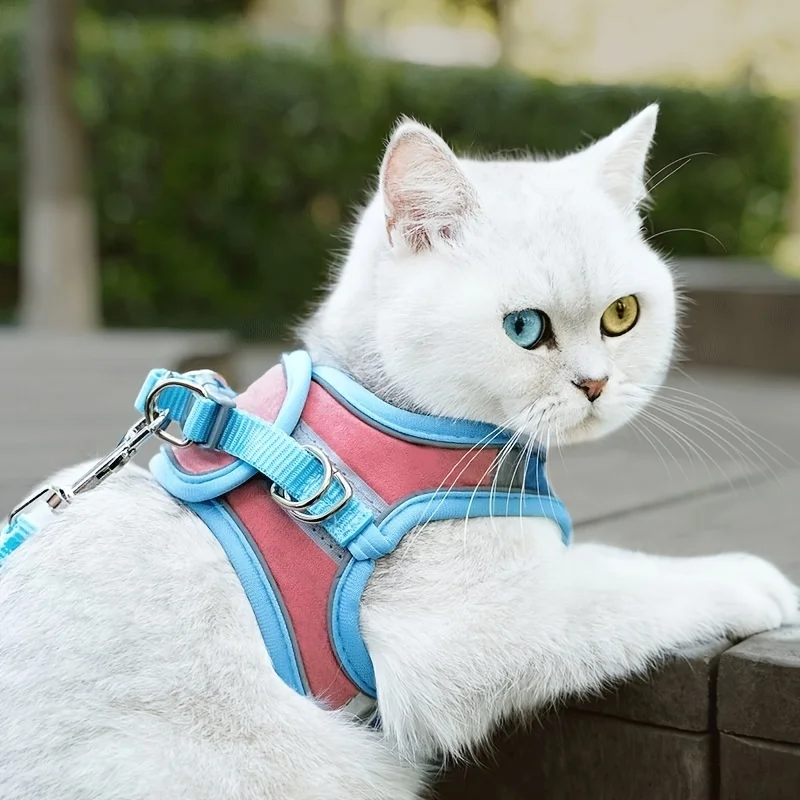 Cat Harness Adjustable Vest and Anti-Leak Leash Cat Accessories Training Collar Dog Small Dogs Collars