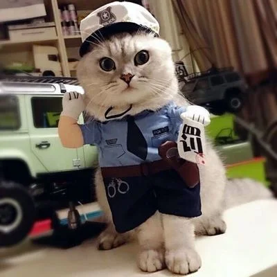 Ropa para mascotas, disfraz de gato Pudao Taro Meow, ropa divertida de policía, ropa divertida de gato, ropa de gato, ropa vertical, lindo vestido de gato