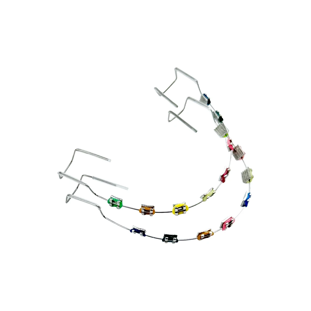 

1 Pair Dental Fake Braces Colorful Braces Temporary Tooth Decoration With Metal Wires Metal Bracket Orthodontic Ligature Ties