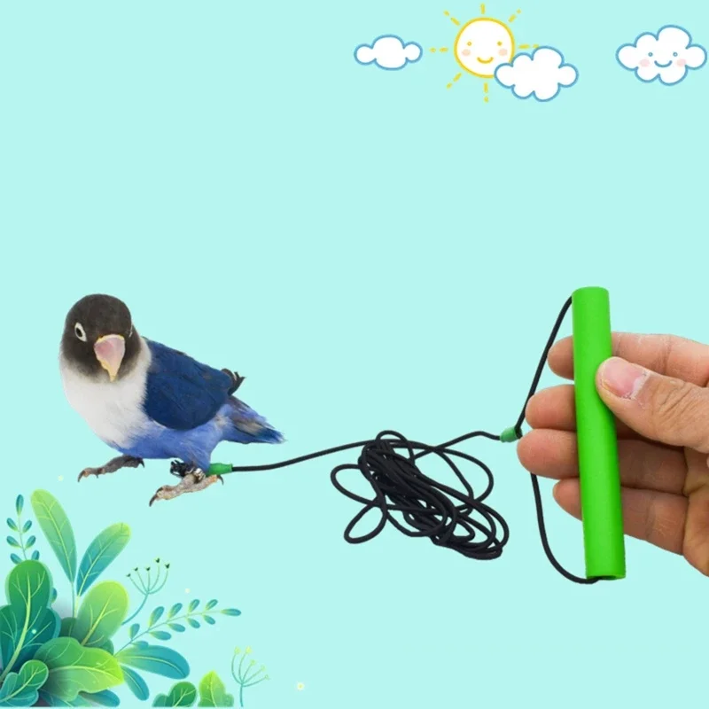 Bird Harness Leash Kit in The Leg Outdoor Training Rope for Small Parrots Fly G2AB