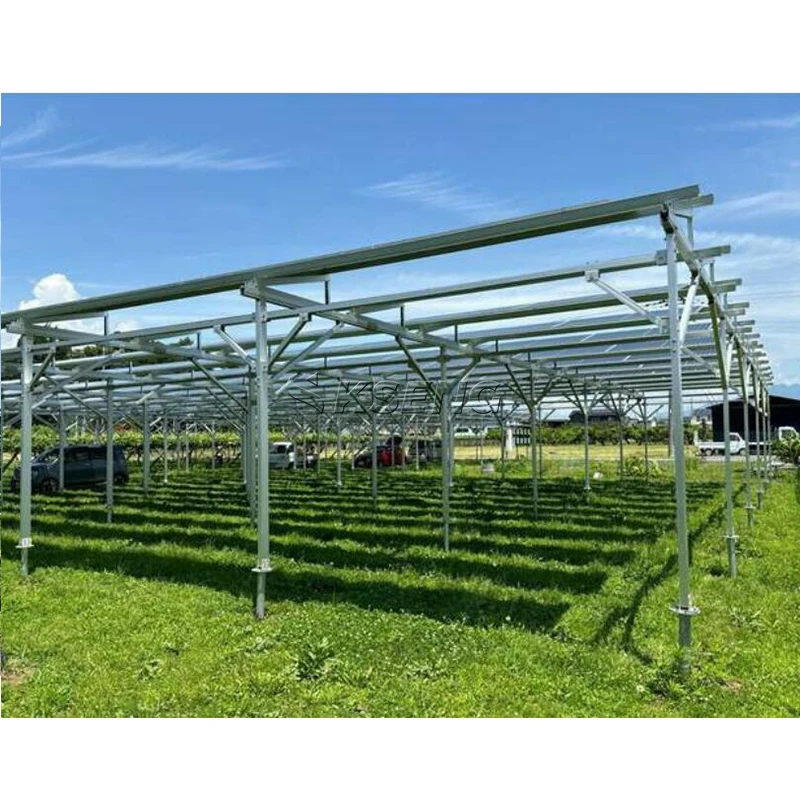 

3mw Aluminium Solar Farm Structure Agriculture Large Scale Solar Panel Farm Mounting System