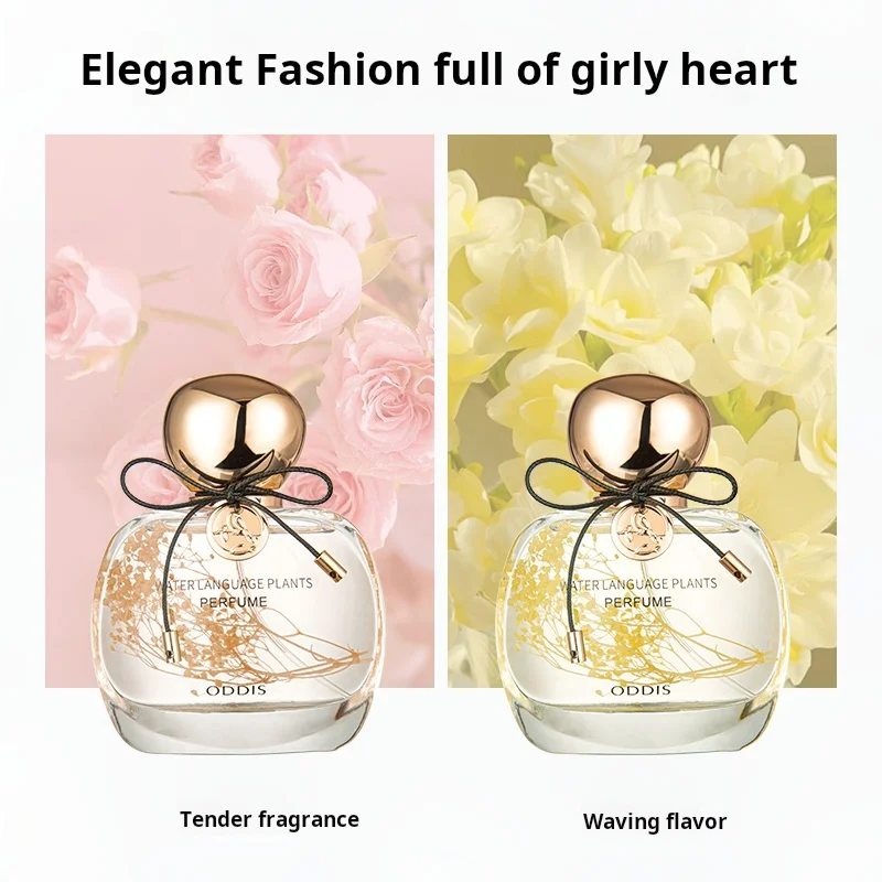 50ML Light Fragrance Original Perfume Lasting Fresh and Elegant Body Spray Perfume High Quality Perfume for Male and Female