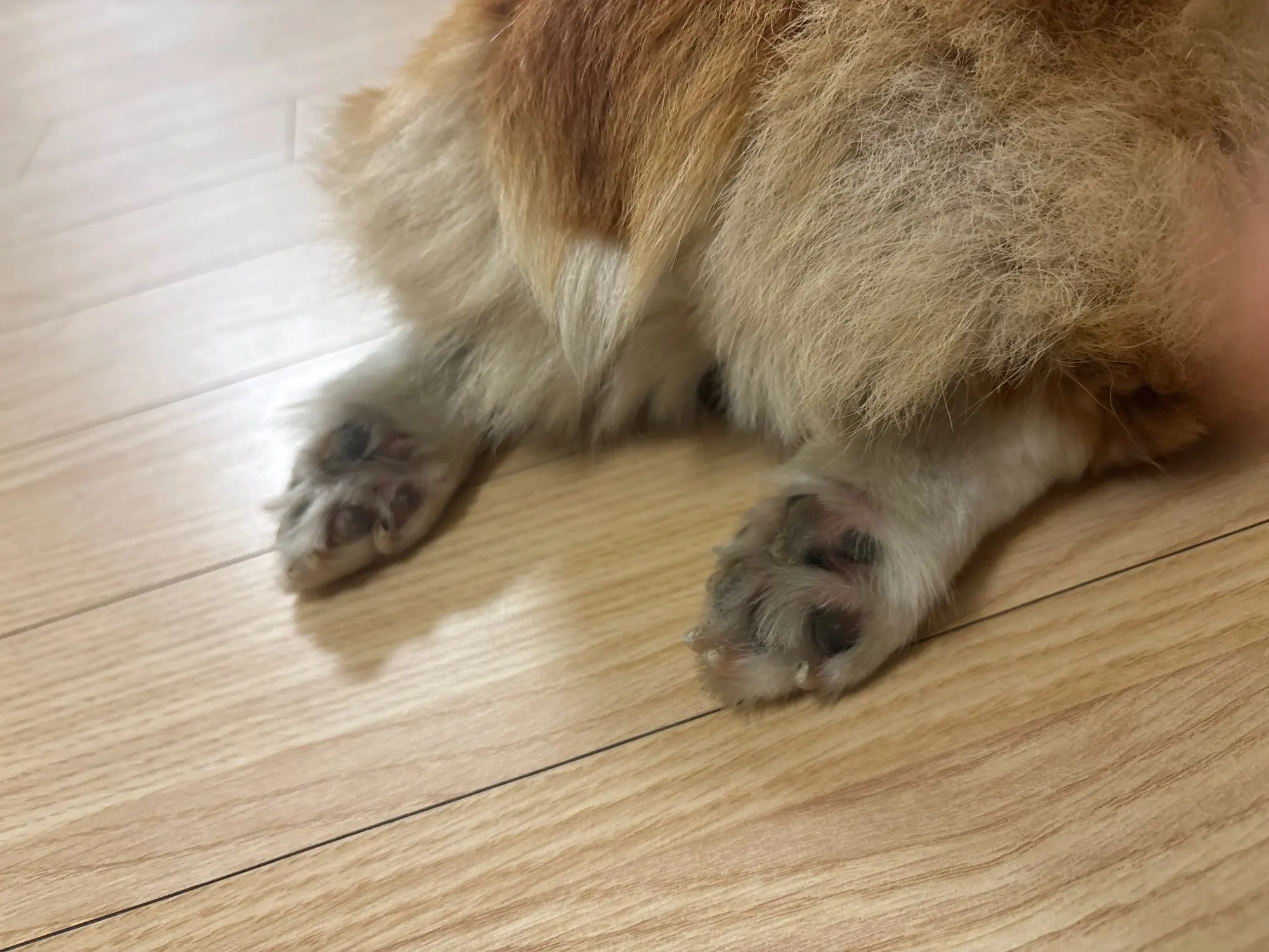구매후기