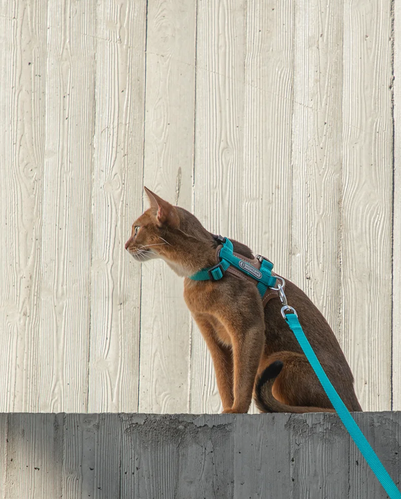 Cat Adjustable I-block Harnesses Leather Suspenders Set Anti-Break Vest-style And Cat Leash