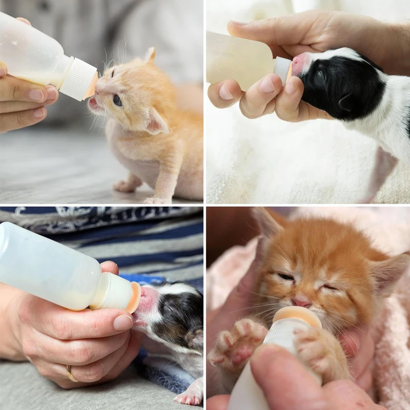 طقم تغذية زجاجة رضاعة للحيوانات الأليفة لحديثي الولادة، زجاجة رضاعة سعة 55 مل مع حلمات سيليكون بديلة للقطط والجراء والأرانب #6
