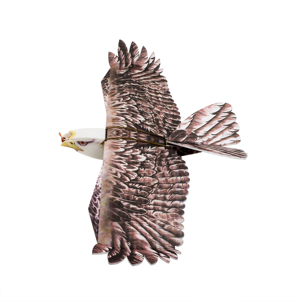 DW هوبي إيجل II EPP طائرة طائرة مزودة بجهاز للتحكم عن بُعد عدة رغوة مع MM2216 920KV موتور النسر نموذج طائرة التحكم عن بعد E19