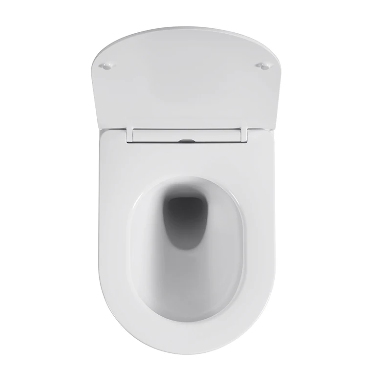 Modern Ceramic Sanitary Ware, Wall-Mounted Toilet with Flush Brush, Also Available in Floor-Standing Version