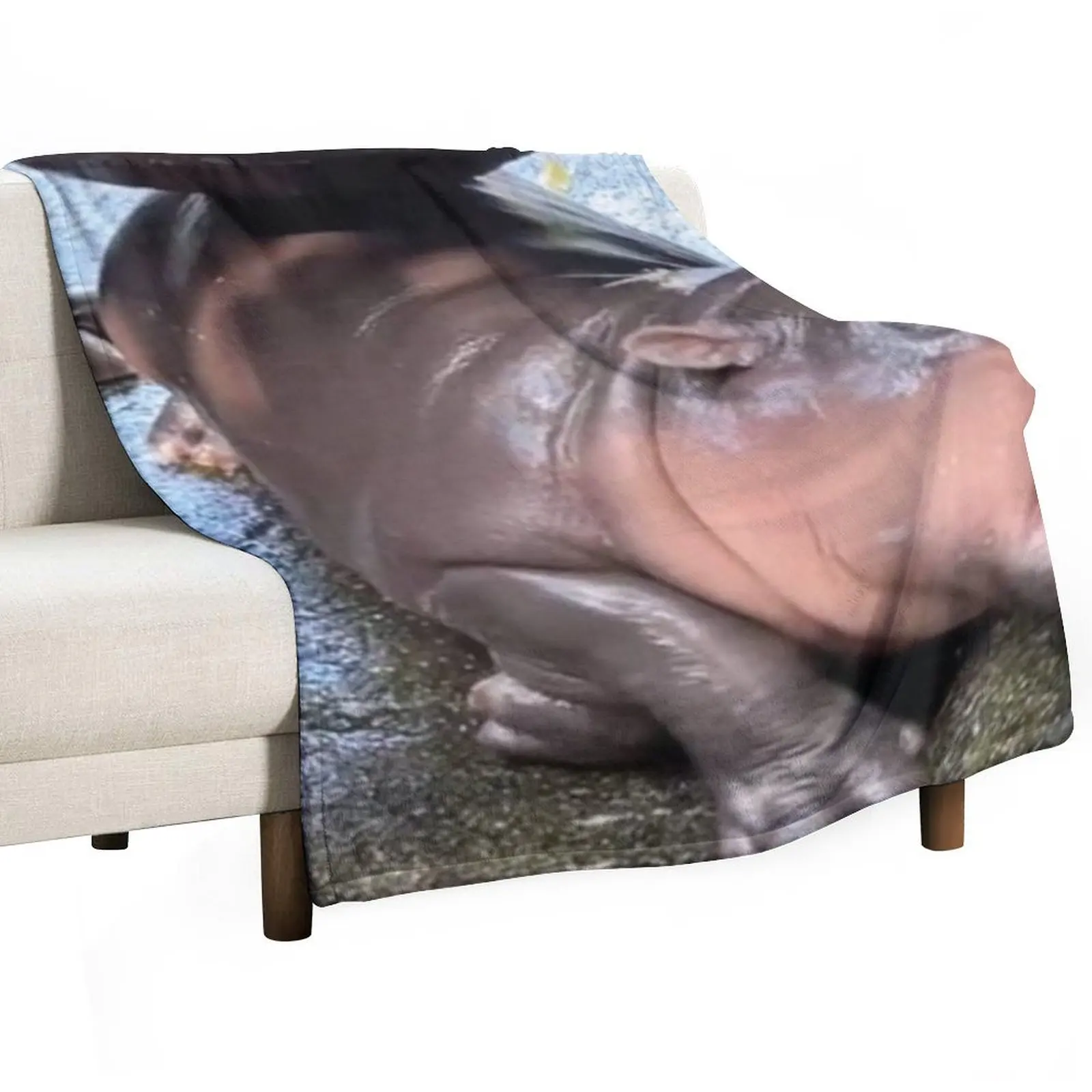 

Moo Deng - Drama Powers Throw Blanket Sofa Warm Vintage Thins Blankets