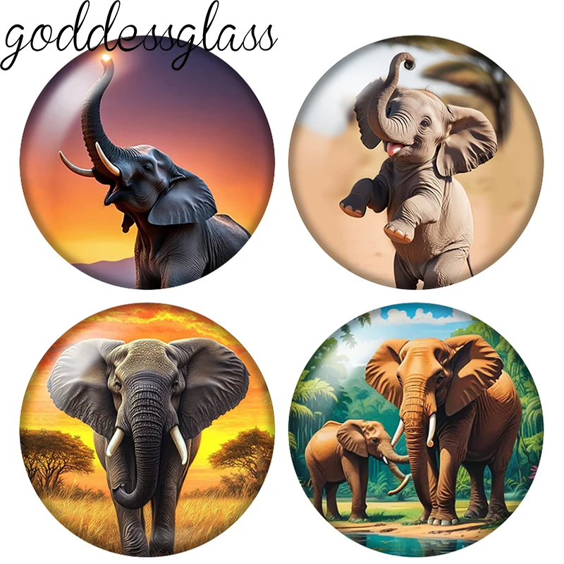 Elephant Cute Wild Animal 10pcs 12mm/20mm/25mm Round photo demo glass cabochon flat back Making fittings