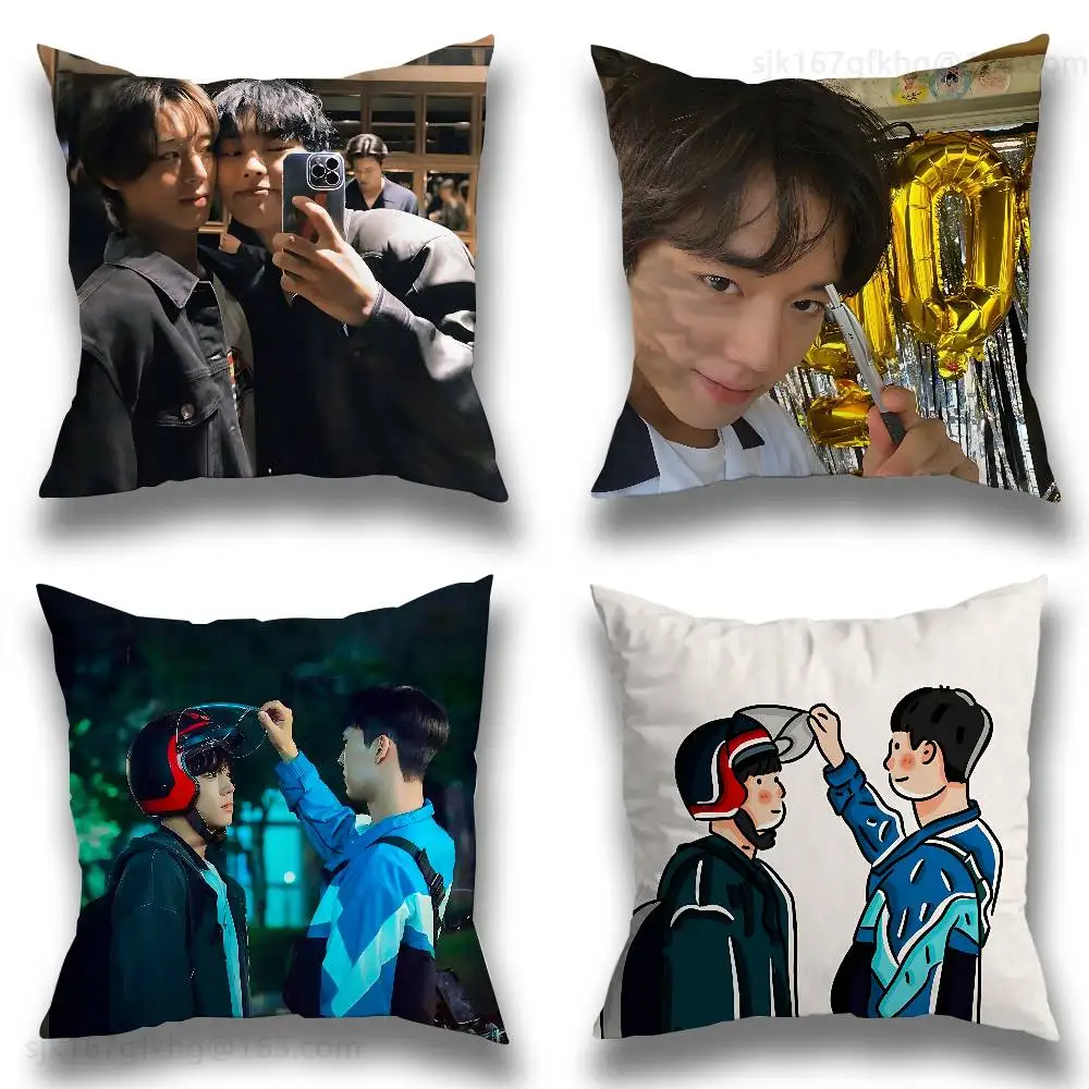 

W-weak Hero Class 1 Pillow Case Sofa Living Room Bedroom Headboard Backrest Cushion Square Cushion Nap Time