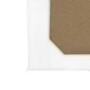 Dust Bags Non-woven Fabric 4 Layer Filtration Large Capacity Replacement Garbage Bag For BPMIO B20 Plus Robot Vacuum Cleaner