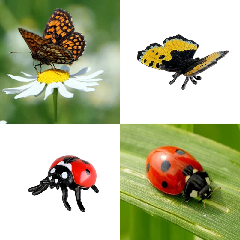 14 sztuk owady zwierzęta Model motyl konik polny pająk biedronka pszczoła figurki figurka zabawki edukacyjne dla dzieci pudełko na prezenty
