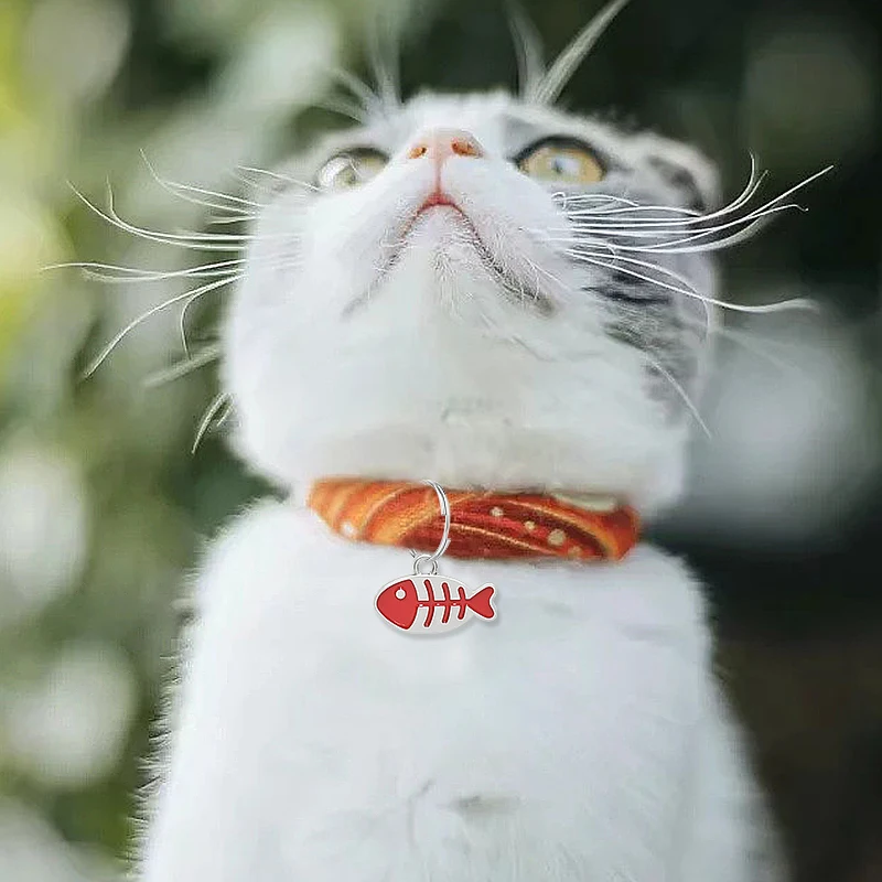 Cat ID ชื่อแท็กชื่อแกะสลักที่กำหนดเองโทรศัพท์ Cat Tag น่ารักปลาเหล็ก Kitty Cat หมวดหมู่สัตว์เลี้ยงแมว Collar Tag อุปกรณ์เสริม