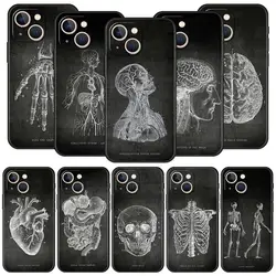 Chalkboard Anatomy Luxury Phone Case For iPhone 13 15 14 12 11 Pro MAX XR X SE XS 7 8 Plus Silicone Black Protection Cover