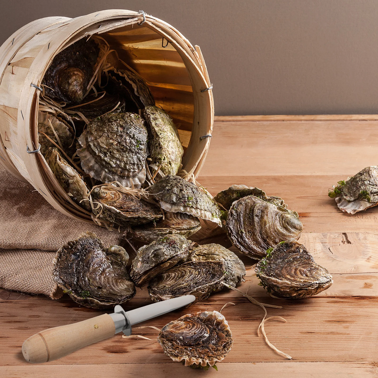 

1Pcs Reusable Oyster Cutter Stainless Steel Wood Handle Great for Clam Scallop Shellfish Oyster Cutter Seafood Sheller