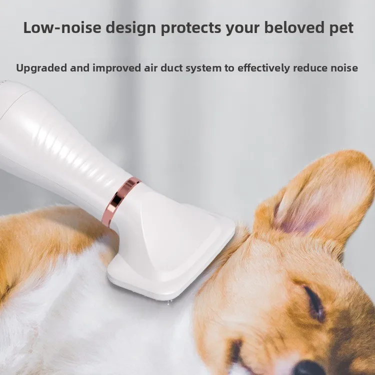 Pet Hair Dryer Brush 2 in 1 Dog Grooming Blower Comb Quick Drying for Cat Bath