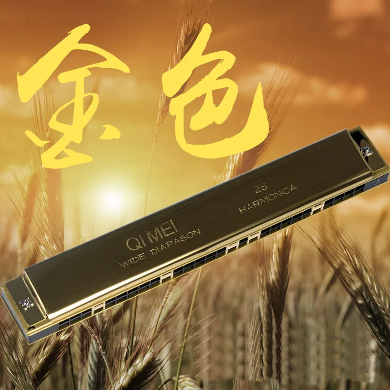 Hooqu Высококачественная губная гармошка для начинающих и взрослых, профессиональная 28-луночная полифоническая губная гармошка с акцентом C