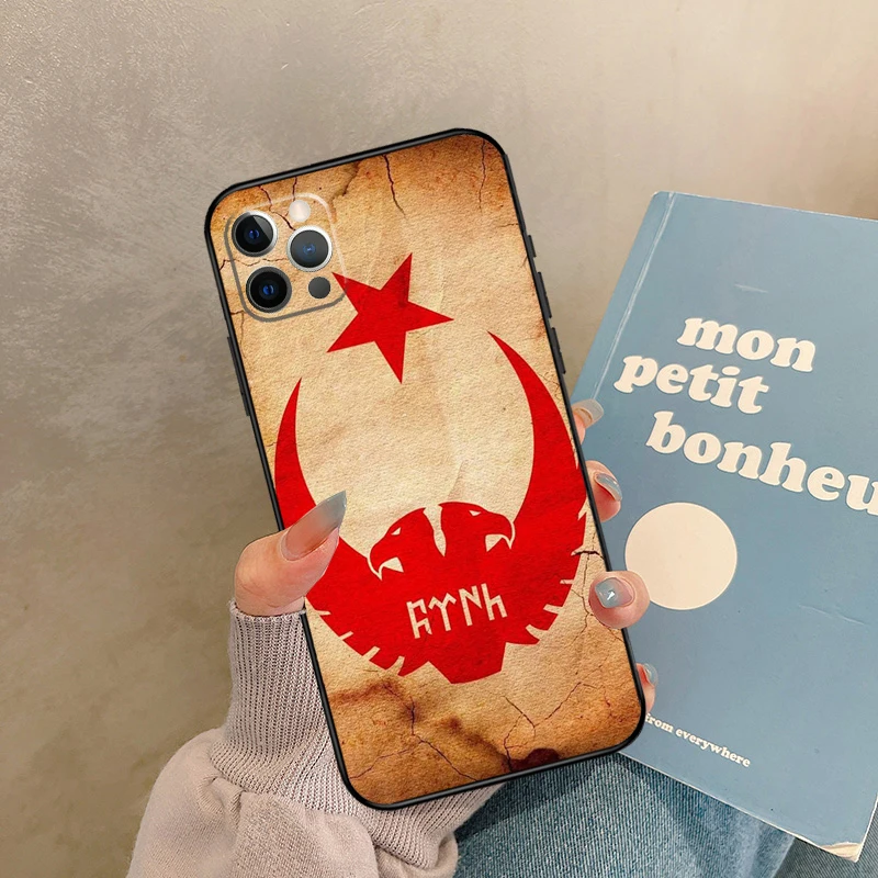 تركيا العلم التركي القضية آيفون 17 الهواء 16 15 14 13 11 12 برو ماكس 13 ميني XR 15 16 زائد 16e الغطاء الخلفي شل