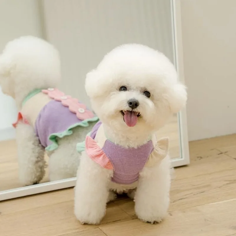 Colorblocked Skirt Puppy Winter Clothes Teddy Autumn Dress Cat Bichon Pullover Maltese Pretty Princess Skirt XS-XL