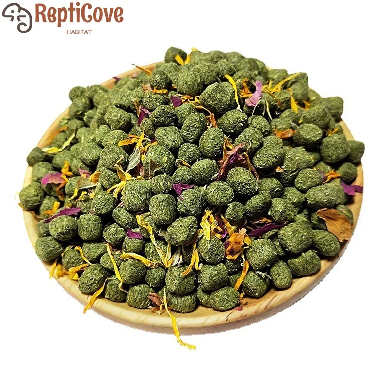 Cactus Flower Fruit…