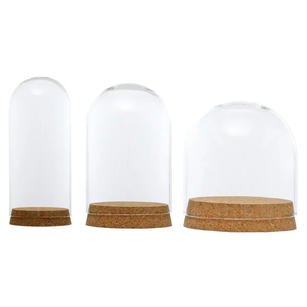 Everlasting Cover Display Cloche Dome Flower Glass Preservation Immortal Decor Vases Bell Home Jar Wooden Base