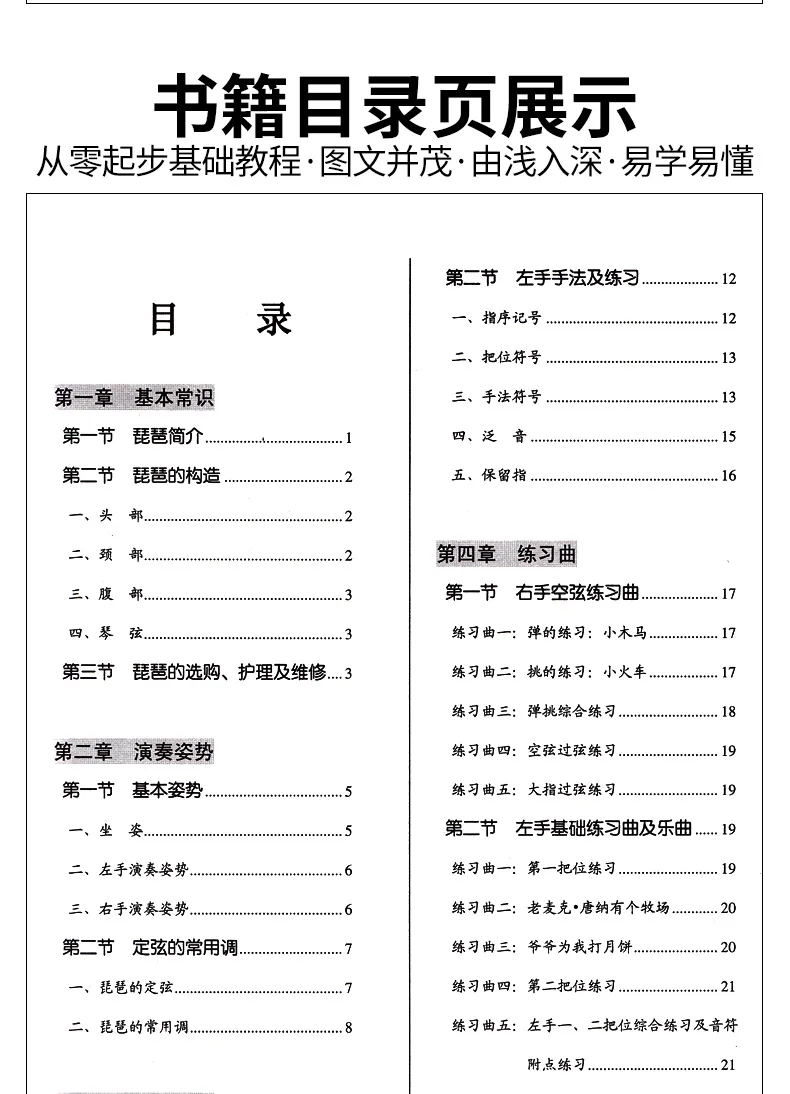 Learning Pipa From Zero Chinese Music Book for Adults