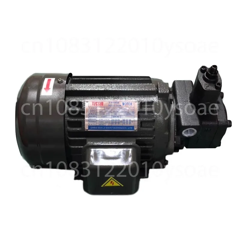 Grupo de motor de bomba de aceite hidráulico VP20 0.75KW1.5 conjunto de bomba hidráulica motor de eje interno sistema de accesorios de estación hidráulica