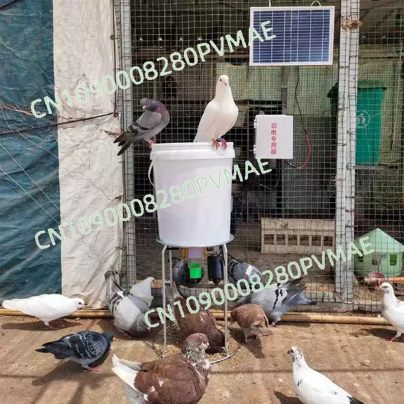 

Интеллектуальная автоматическая кормушка-воронка для кур, голубей, уток, для кормления гранулированными кормами