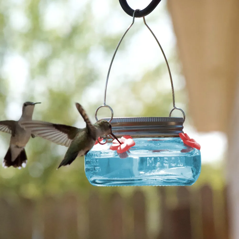 Glass Mason Jar Hummingbird Feeder with Hanging Rope 6 oz 220ml Teal Color Garden Decor Outdoor Gift for Bird Lovers