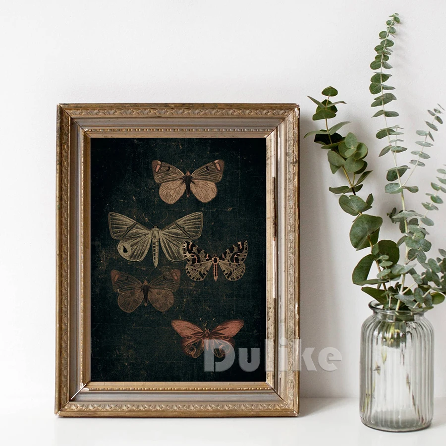 Moth Art Print Black Butterfly Poster Vintage Bee Canvas Painting Dark Bee Prints Nature Insect Educational Wall Pictures Decor